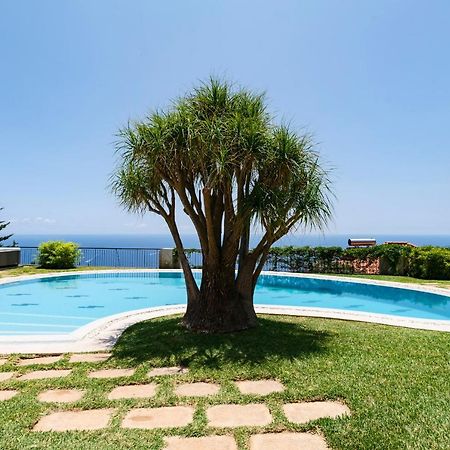 Vila Eucalipto By An Island Apart Funchal  Exteriör bild