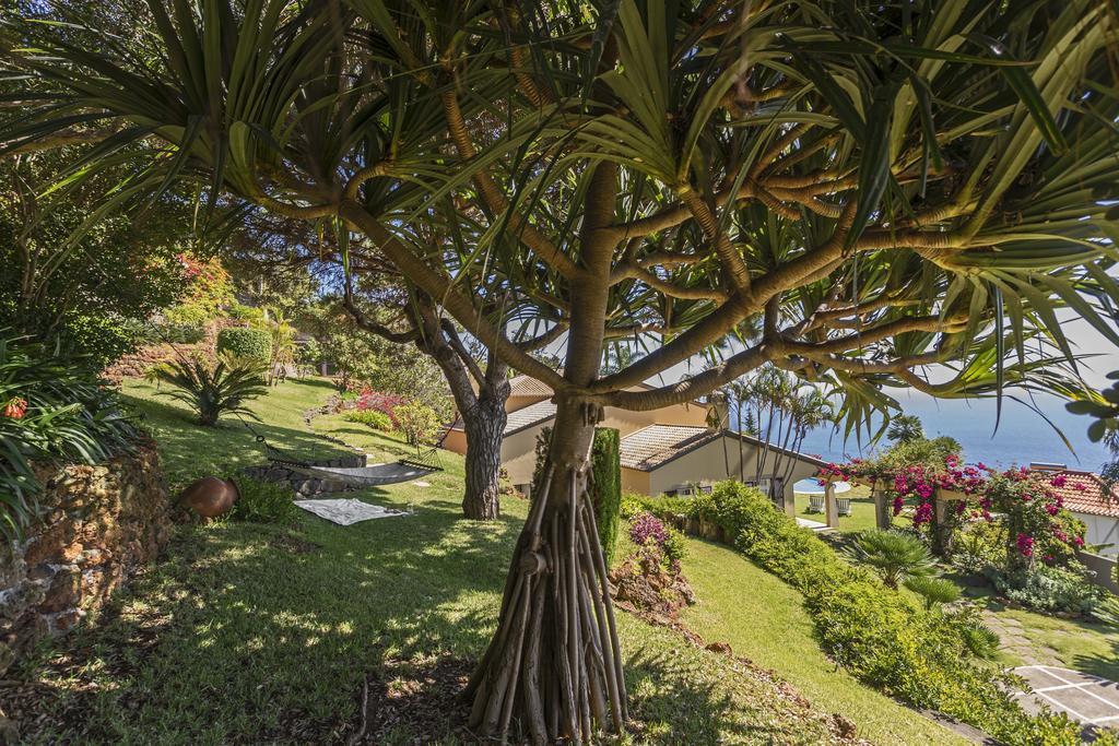 Vila Eucalipto By An Island Apart Funchal  Exteriör bild